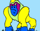 Disegno Gorilla pitturato su ANDREA