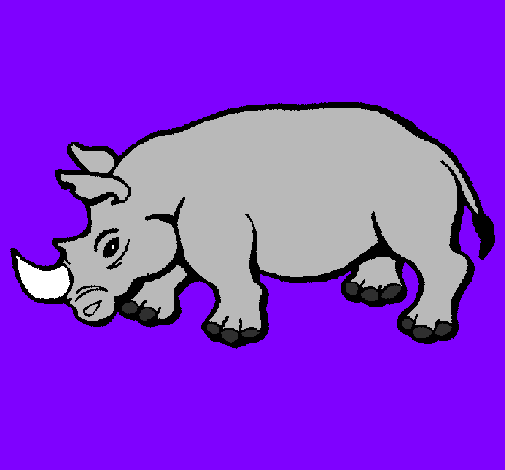 Rinoceronte 