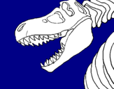 Disegno Scheletro di Tyrannosaurus rex pitturato su è è    u  