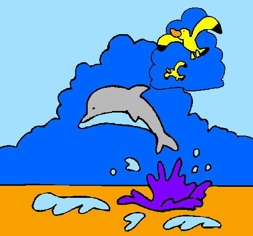 Delfino e gabbiano 