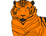 Disegno Tigre pitturato su lucapaiano