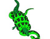 Disegno Anaconda e caimano  pitturato su lucapaiano