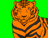 Disegno Tigre pitturato su riccardomonti