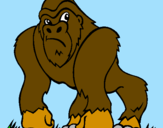 Disegno Gorilla pitturato su kong