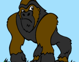 Disegno Gorilla pitturato su riccardomonti