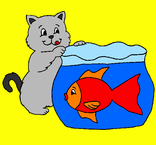 Gatto e pesce 