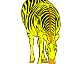 Disegno Zebra  pitturato su anónimo