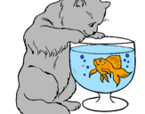 Disegno Gatto che osserva il pesciolino  pitturato su clara   e   teresa