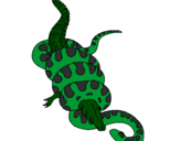 Disegno Anaconda e caimano  pitturato su mattia