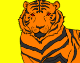 Disegno Tigre pitturato su mattia 