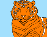Disegno Tigre pitturato su claudia