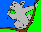 Disegno Koala  pitturato su patrick e silvia