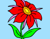 Disegno Fiore selvatico pitturato su MADELINYJUMA