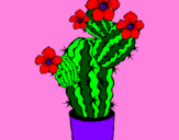 Disegno Fiori di cactus  pitturato su ELISA
