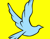 Disegno Colomba della pace in volo pitturato su sannino