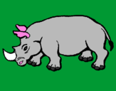 Disegno Rinoceronte  pitturato su FILIPPO