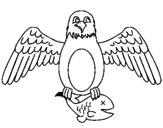 Disegno Aquila alla caccia pitturato su martin