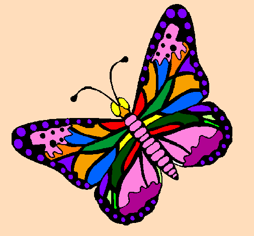 Farfalla 4