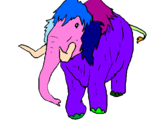 Disegno Mammuth II pitturato su Mammut