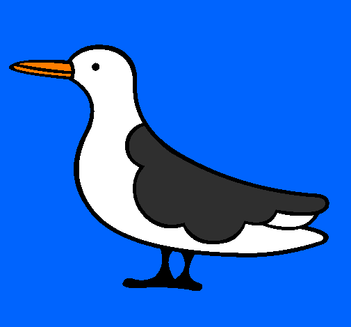 Uccello 3
