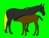 Disegno Cavalli  pitturato su elisa