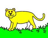 Disegno Panthera  pitturato su enrico