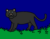 Disegno Panthera  pitturato su DARIO