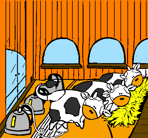 Mucche nella stalla 