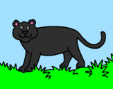Disegno Panthera  pitturato su daniele