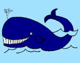 Disegno Balena  pitturato su amanda