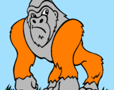 Disegno Gorilla pitturato su francesco