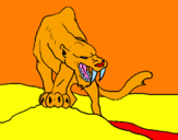 Disegno Tigre con affilati canini  pitturato su tommaso c