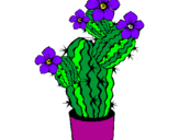 Disegno Fiori di cactus  pitturato su xobi