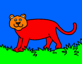 Disegno Panthera  pitturato su andrea