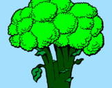 Disegno Broccoli  pitturato su gioele