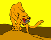 Disegno Tigre con affilati canini  pitturato su DIEGO TIGRE
