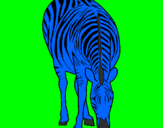 Disegno Zebra  pitturato su andrea