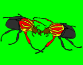 Disegno Scarabei pitturato su scarabeus