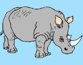 Disegno Rinoceronte  pitturato su domenico