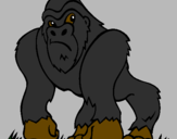 Disegno Gorilla pitturato su Giada