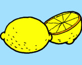 Disegno limone  pitturato su ginevra