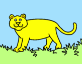 Disegno Panthera  pitturato su francesco