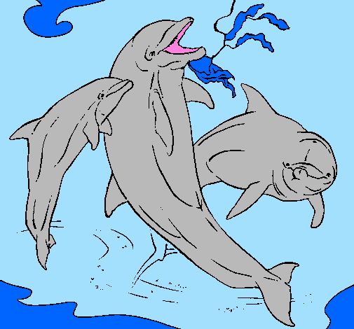 Delfini che giocano 