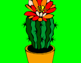 Disegno Cactus fiorito  pitturato su aika