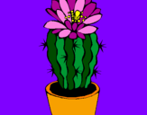 Disegno Cactus fiorito  pitturato su gaia e giada