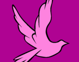 Disegno Colomba della pace in volo pitturato su tommy08
