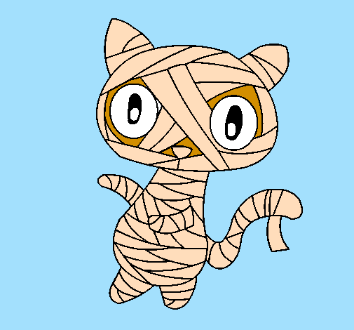 Mummia gatto scaraboechio