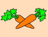 Disegno carote  pitturato su GABRIEL