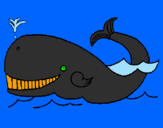 Disegno Balena  pitturato su LUIGI