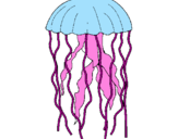 Disegno Medusa  pitturato su GIULIA  .  MORRONI